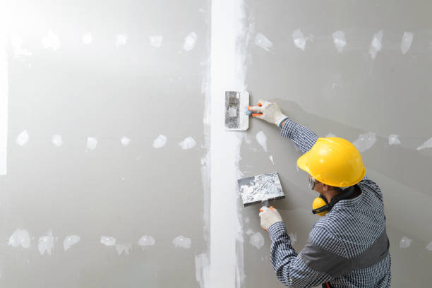 Wallpaper Removal and Painting in Lakewood, CO